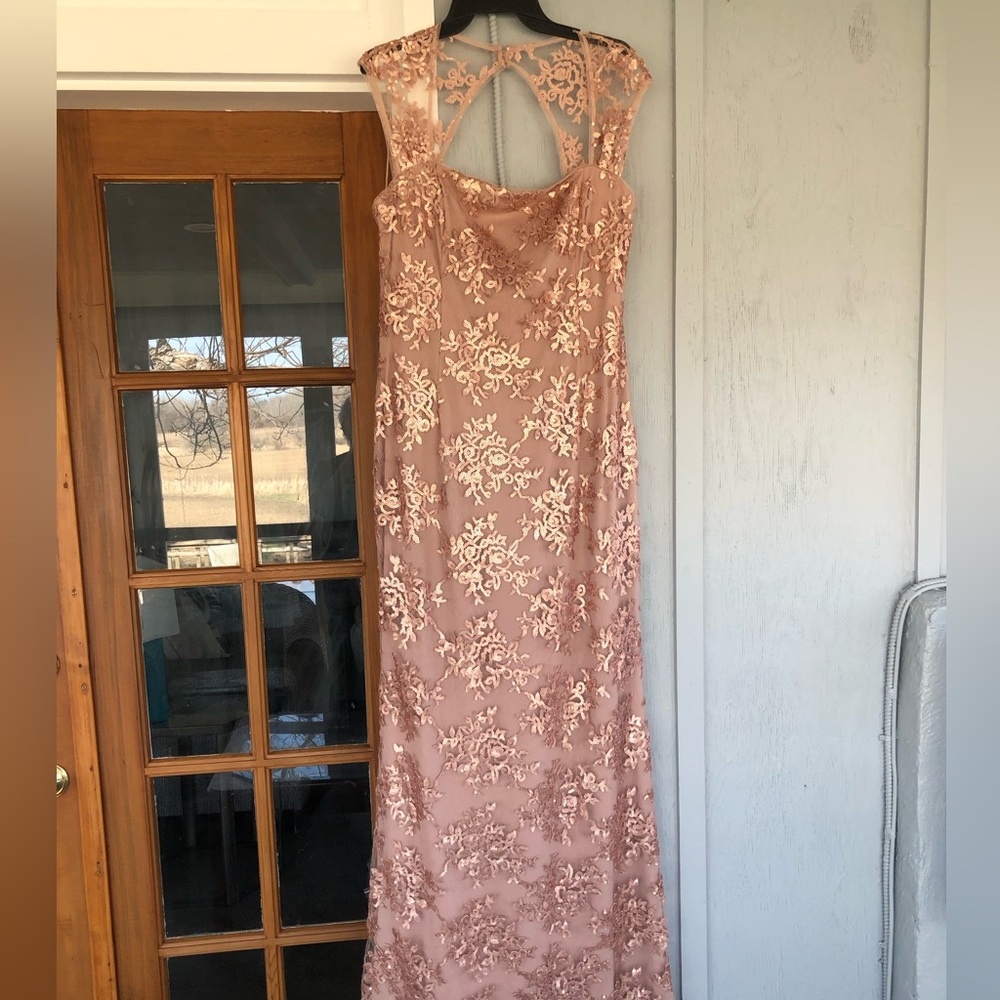 Adrianna Papell Blush Pink Lace Wedding Dress